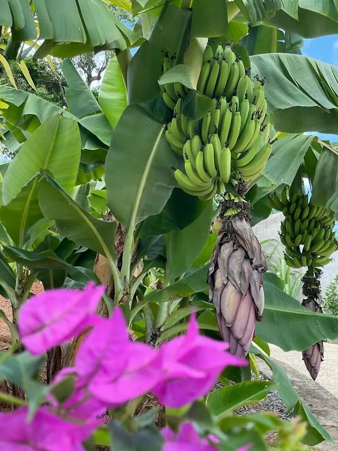 Aparthotel La Trouvaille Anse a La Mouche